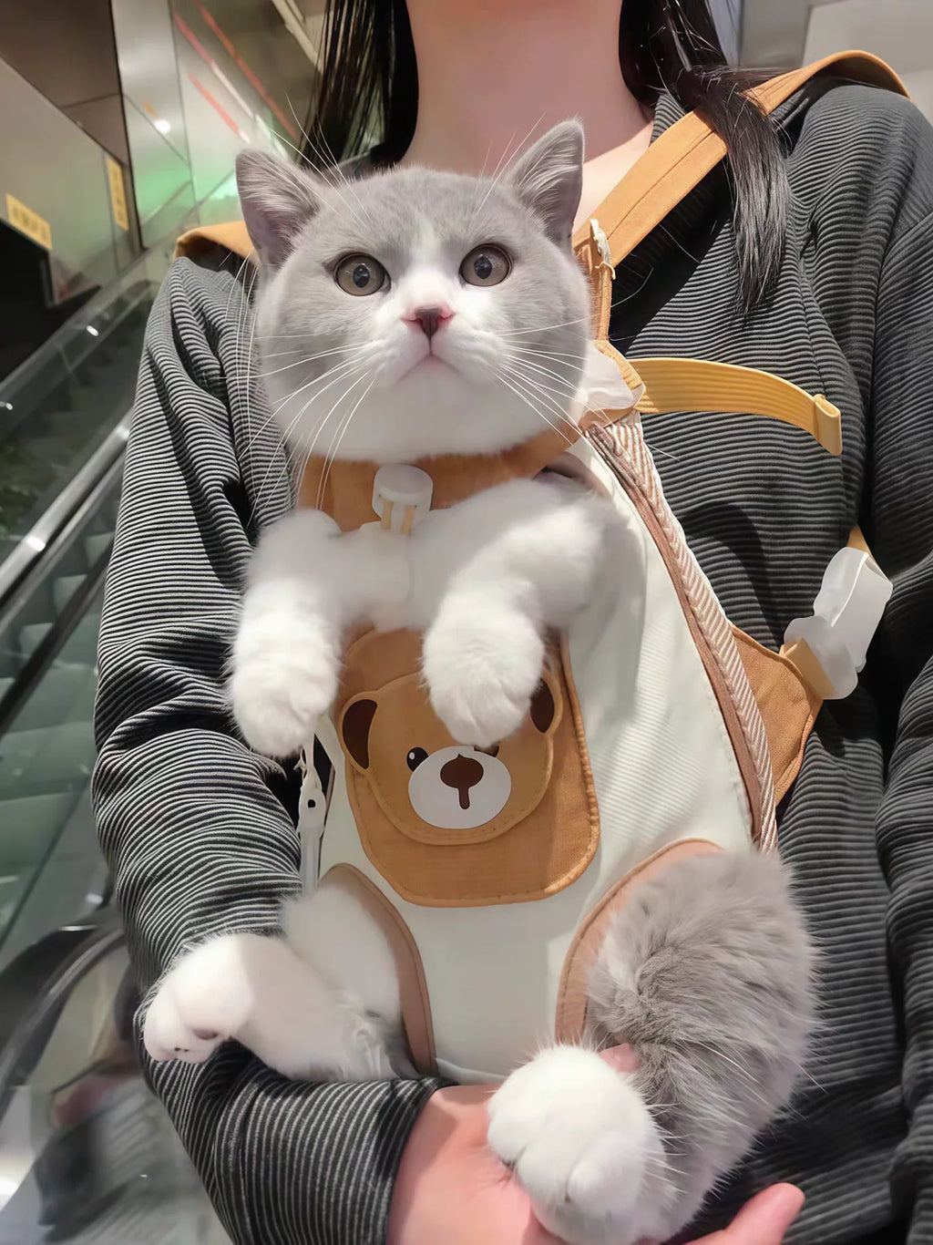 Transportín delantero para gatos