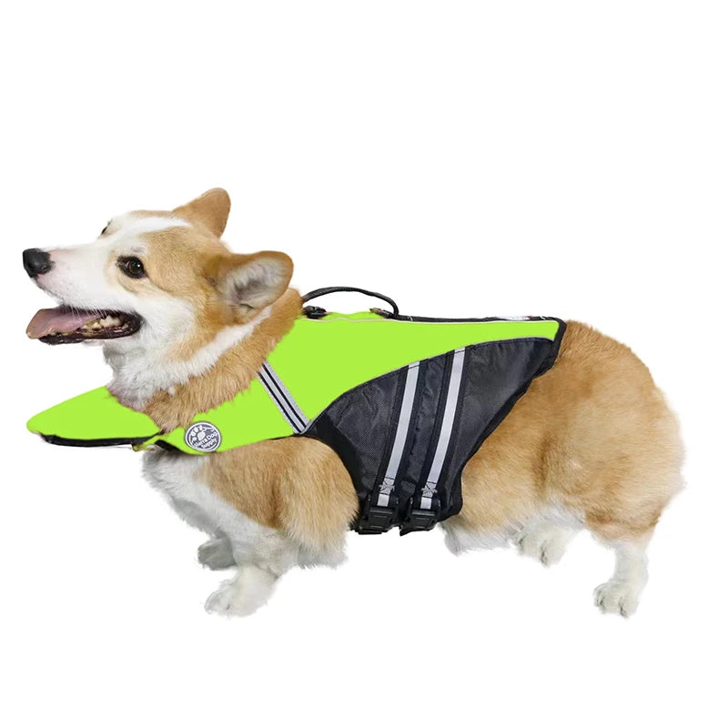 Chaleco salvavidas para perros