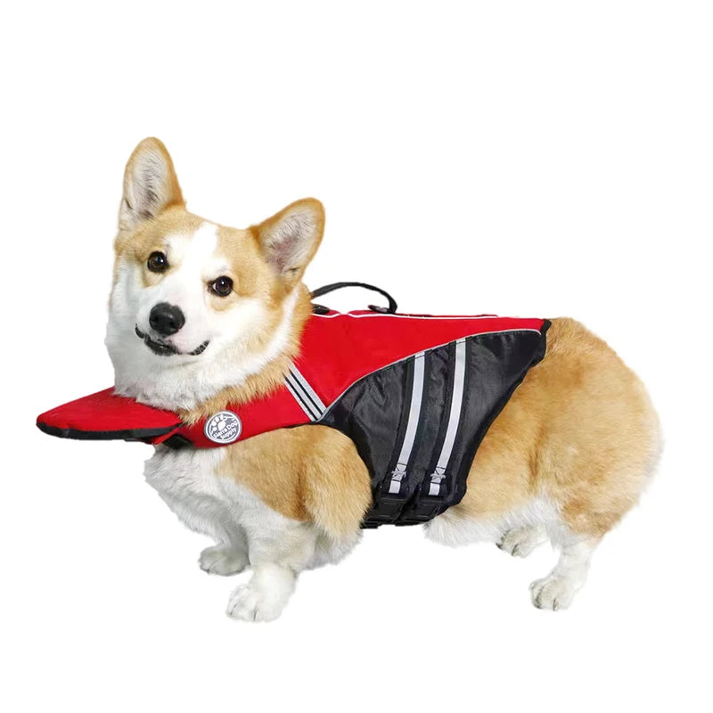 Chaleco salvavidas para perros